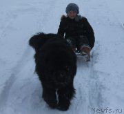 Превью фото № 172097