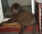 Превью фото № 172128