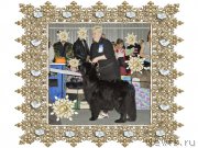 Превью фото № 172139