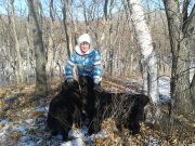 Превью фото № 172161