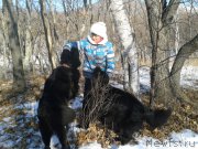 Превью фото № 172162