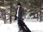 Превью фото № 172328