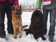 Превью фото № 172338