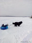 Превью фото № 172411