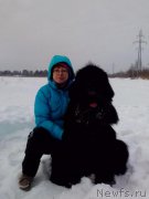 Превью фото № 172412