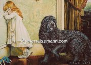 Превью фото № 172415