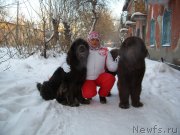 Превью фото № 172427