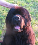 Превью фото № 172443