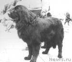 Превью фото № 1725