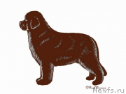 Превью фото № 172560