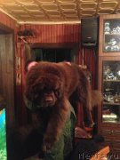 Превью фото № 172567