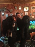 Превью фото № 172571