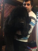 Превью фото № 172572