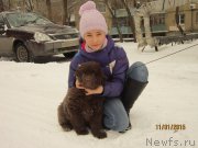 Превью фото № 172577