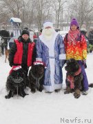 Превью фото № 172634