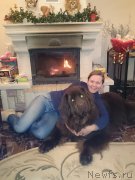 Превью фото № 172753