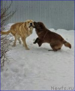 Превью фото № 172761