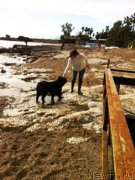 Превью фото № 172799