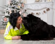 Превью фото № 172814