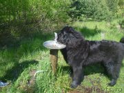 Превью фото № 172857