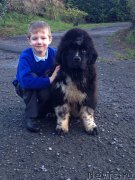 Превью фото № 172936