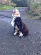 Превью фото № 172937