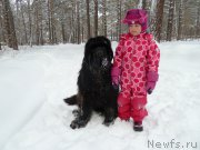 Превью фото № 172958