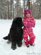 Превью фото № 172959