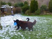 Превью фото № 172998