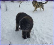 Превью фото № 173000