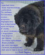 Превью фото № 173009