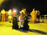 Превью фото № 173011