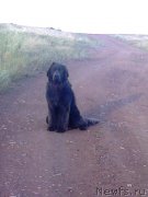 Превью фото № 173013