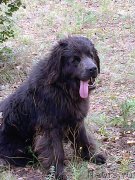 Превью фото № 173014