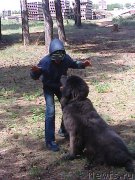 Превью фото № 173015