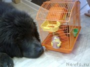 Превью фото № 173016