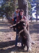 Превью фото № 173017