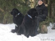 Превью фото № 173043