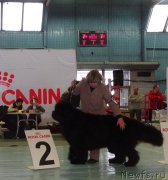 Превью фото № 173071