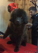 Превью фото № 173075