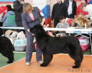 Превью фото № 173114