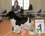 Превью фото № 173130