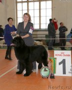 Превью фото № 173131