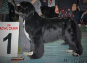 Превью фото № 173135