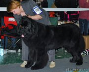 Превью фото № 173143