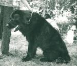 Превью фото № 1732