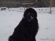 Превью фото № 173230