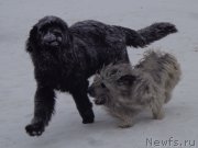 Превью фото № 173241