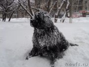 Превью фото № 173286