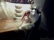 Превью фото № 173292